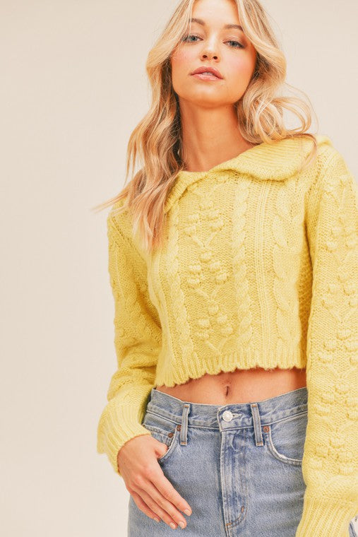 Collared Cozy Cable Knit Cropped Sweater Top