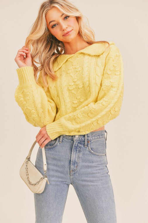 Collared Cozy Cable Knit Cropped Sweater Top