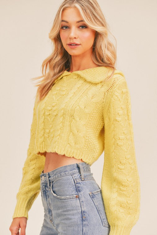 Collared Cozy Cable Knit Cropped Sweater Top